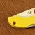 LYLS3 Ladybug Salt- Serrated