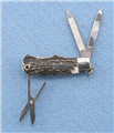 Remington (Stag)                                  