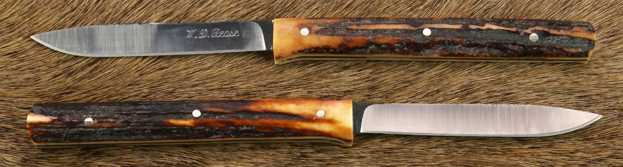Filet Stag Bone
