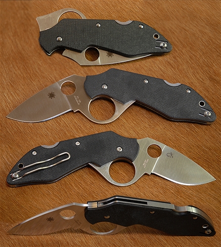 C206GP Introvert G-10