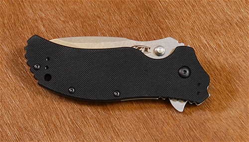 0350 SW Onion Assisted G-10