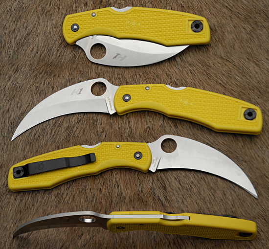 C77PYL Spyderhawk H1                              