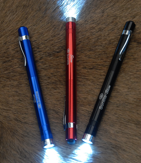Sunlite 100 lm Slim LED Penlight  (3AAA)          