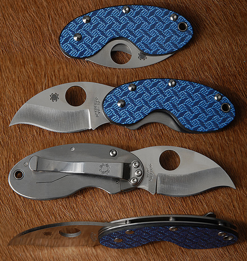 C29GFBLP                                          